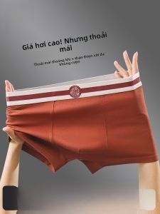 MiiOW | Quần lót nam Catman thoáng khí bằng cotton nguyên chất cạp vừa quần đùi thể thao kháng khuẩn cỡ lớn cho nam