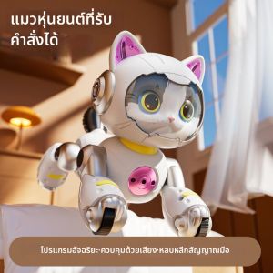 LIWAN | AI Intelligent Programmable RC Cat Toy