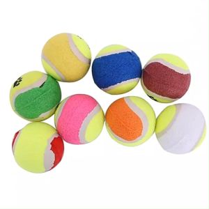 CeeJay ลูกเทนนิสสำหรับสัตว์เลี้ยง ลูกบอลฝึกสุนัขและแมว โยนเล่นกับสูงสุนัข คลาสี สำหรับสัตว์เลี้ยง สุดยอดและรายละเอียด