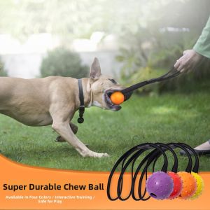 COCOA HONEY | Durable Training Chew Toy for Dogs