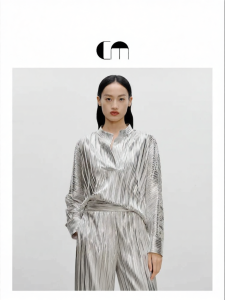 Elegant Refined Fine Pleat V-neck Blouse