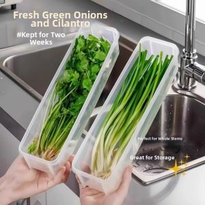 Food Storage Container for Vegetables and Noodles Refrigerator Dedicated