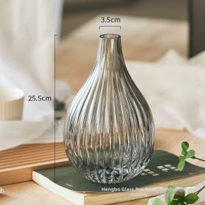 Large-Belly Small-Opening Glass Watering Vase for Living Room