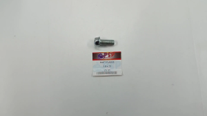 Baut Flange 10x25 (Harga 1 PC) - Baud Bolt Ring Bibir Topi 10 mm Panjang 25 mm Kunci 14