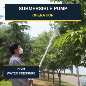 【LingRuii】3-month extended warranty 3-month virtual extended warranty 3-month virtual extended warranty 3-month extended warranty 3-month virtual extended warranty 3-month extended warranty 3-month 220W DC Water Submersible Stainless Steel Pump