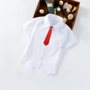 Long Sleeve Cotton Lined White Shirt for Boys and Girls