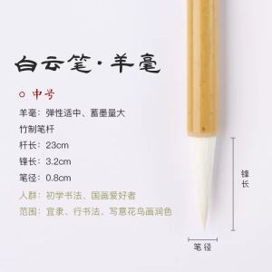 Beginner Calligraphy Set Wolf Hair Brush Small Regular Script Sheep Hair Brush Practice Writing Tools Business Supplies