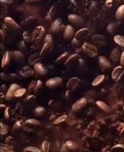 Daikka Italian Style Blended Coffee Beans 454g: A Best-Selling High-Quality Choice