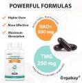 🇺🇸พร้อมส่ง🇺🇸 Liposomal NAD+ Supplement 500 mg, High Absorption 60 softgels. 