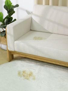 Imakara Fabric Sofa Cleaner with Brush 300ml