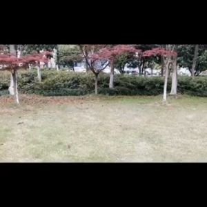 แผ่นรองนอนเป่าลม, มีหมอนเสื่อตั้งแคมป์, เสื่อนอนพอง, น้ำหนักเบา Ultra Light สามารถใช้ได้ทั้งรถและบ้าน คุณภาพนอน ที่เป่าลม ราคาที่สะดวก แสดงในส่วนการใช้งานความงาม