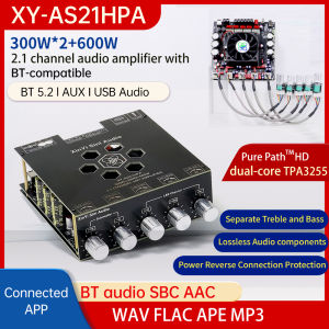 AS21HPA Stereo Digital Amplifier: A Comprehensive Guide