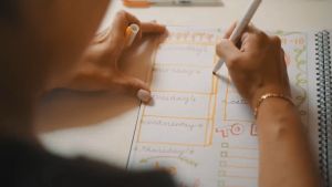 {SG instock} ZEBRA 25 Colors Mildliner Highlighter Set Double-headed Marker Highlighter Pen Set