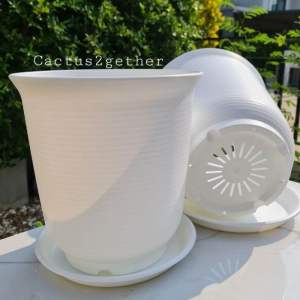 กระถางZen  เนื้อหนา ทรงสูง สีขาวได้พร้อมจานรอง10-12นิ้ว