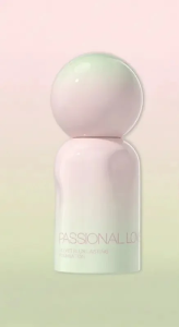 Passional Lover | Oil Control Long-Lasting Concealing Foundation