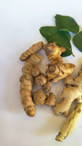 Paket Komplit Bumbu Rempah Jahe Kunyit Kencur Sereh lengkuas Daun Jeruk untuk Opor Rendang Gulai