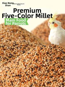 XIAONONGSHAN | Specialized Parrot Bird Food Grains