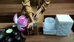 Tinh dầu Xông Thảo Dược Hoa Nén - Giải cảm tăng đề kháng - 10ml