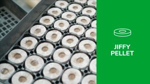 Semaian Jiffy Peat Pellets 44mm 10PCS