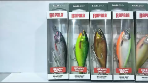 RAPALA SHAD RAP ELITE FISHING LURE ( SRE55 / SRE75 / SREH95 )