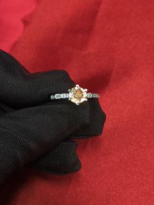 Selamat Datang di Diamcity Jewelry Flagship Store: Cincin Desain Unik & Moissanite Pt950