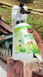 RACUN RUMPUT LIAR PALING AMPUH // PEMBASMI RUMPUT LIAR/DONT GRASS 5 LITER/SIAP PAKAI/TIDAK PERLU DICAMPUR AIR LAGI