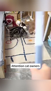 Fur Remover Hair Roller Removes Lint from Clothes Brush Dog Cat Multifunction Pet Hair Remover