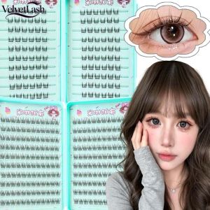 VelvetLash【Local Stock】240 Clusters/Box Glue-free Fish Tail Single Cluster Eyelashes Large Capacity Soft Reusable Natural Eyelashes Extension
