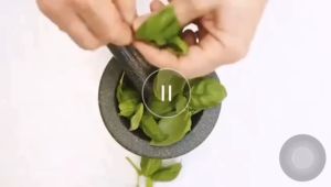 Mortar and pestle/Lesung Batu/Kitchen13cm 14.5cm 16cm 17.5cm (Nature Granite Stone)