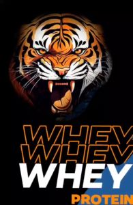 VTIGER 400g 100% Whey Protein US Tech Epicatechin + Switzerland Chocolate Flavor Whey Protein Powder (Enhances Muscle Growth & Strength)