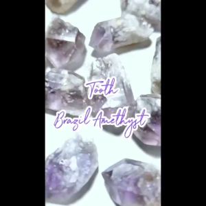 Tooth Brazil Amethyst ฟันอเมทิสต์จากบราซิล แท้ 100% เหมาะทำสร้อยคอ จี่ หินมงคล
