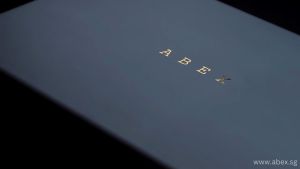 ABEX LUMINA AX59 / i7-13620H / Slim & Lightweight 15" FHD Laptop / 32GB RAM / 1TB SSD / SG Local Brand