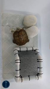 Turtle Sunbathing Basking Platform with Ramp Kura2 Panjat Platform 乌龟晒台爬台DIY