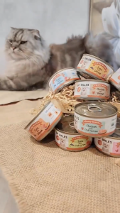 [Sampling Bundle] Sparkles Gravylicious & Jellylicious Halal Cat Wet Food | 8 Can Set + 1 Free Treat