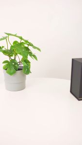 Tas Wanita Kekinian: HONYAN GOLD Tas Wanita Berry Sling Bag