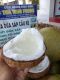 Dừa Sáp Cầu Kè Sỉ Lẻ-Trà Vinh Foods