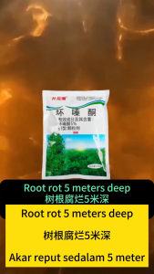 Hexazinone 5% Herbicide - Kill Big Trees&Bamboo in 7 Days Weed Control Conc 500g Racun Pokok