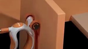 Xe trượt scooter 3 bánh có đèn xe chòi chân cho bé 808 màu nâu