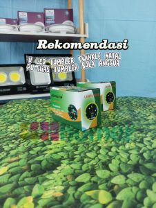 Lampu Hias Tumblr Bulat & Lampu Anggur Natal LED RGB 5 Meter Warna-Warni