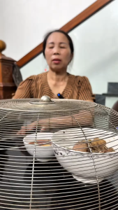 Máy Diệt Ruồi Thông Minh Tự Động An Toàn – Không Dùng Hóa Chất Không Ảnh Hưởng Sức Khỏe