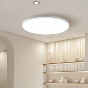 Bull | Dust-Resistant Insect-Proof Circular Ceiling Light
