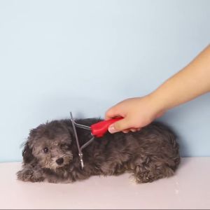 Lược chải lông cho Chó Mèo lông dài có cán đỏ - Love Pets Shop