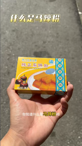 Pan Tang Brand Pure Water Chestnut Flour] 250g Chest Nut Powder [Jong Cherng ]