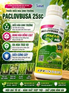 Điều hoà sinh trưởng PACLO 250SC (chai 450 ml) - Paclobutrazol 250 g/l Kích ra hoa đồng loạt phân hoá mầm hoa chặn đọt ra hoa trái vụ