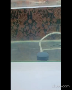 2pcs Batu Oksigen Aquarium Bulat 4cm untuk Ikan Hias - Aksesoris Pompa Udara