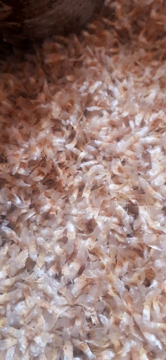 H%E1%BA%A0T%20GI%E1%BB%90NG%20N%C3%9AC%20N%C3%81C%20-%20Image%207