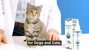 PAW HERO Borammy Eye Drops 60ml Professional Pet Eyedrops Eye Drop Eye Care
