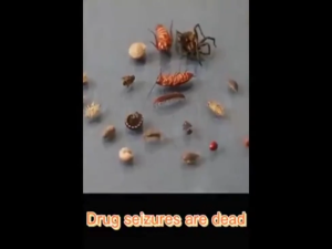 Kills Bed bugs in 1S bed bugs killer spray Bed Bug Spray Bed bug Mite spray Dust mite spray Bed bug killer dr bed bug殺蟲劑