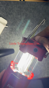 EVEREADY MODEL ALCL31 2IN 1 AREA LANTERN & DIRECTIONAL LIGHT