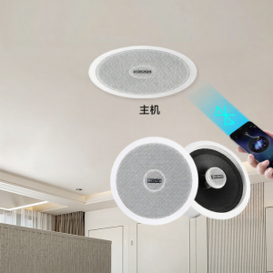 ลำโพงไร้สาย Bluetooth Sony Sa-X1 ลำโพงเพดานแบบฝังในแบบไร้สายสำหรับร้านค้าและบ้าน เครื่องมือติดตั้งลำโพงสากลแบบทันสมัย